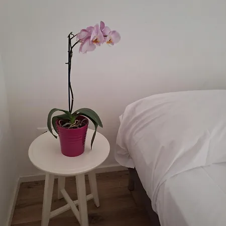Urban Chic, Terre Marine Apartment